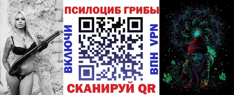 хочу   Чёрмоз  Галлюциногенные грибы Magic Shrooms 