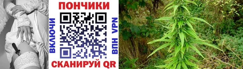 kraken зеркало Чёрмоз Канабис OG Kush